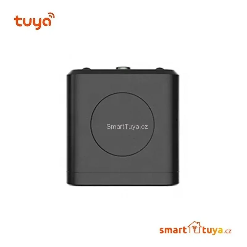2.0 Mpx WiFi mini IP kamera FULL HD 1080P - TUYA